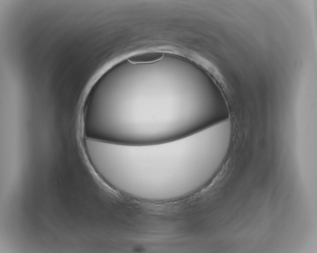 X0000111891520200907231437