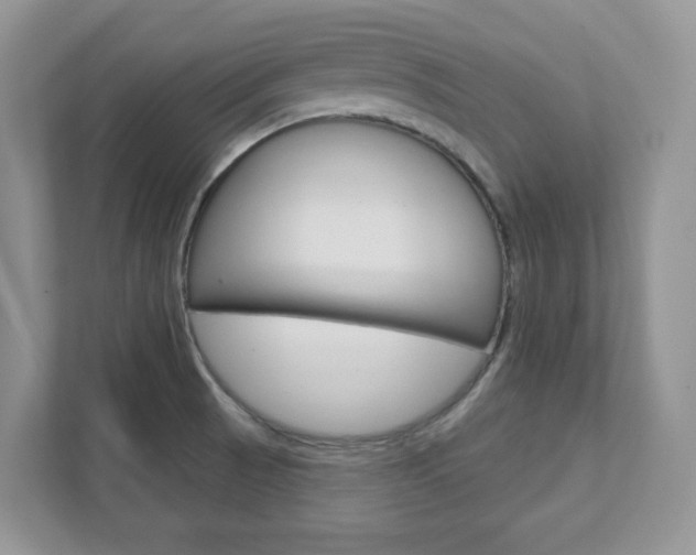 X0000111891521200907231437