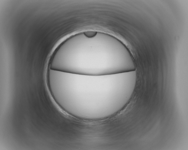 X0000111891523200907231437
