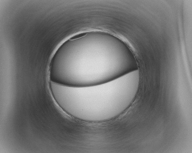 X0000111891524200907231437