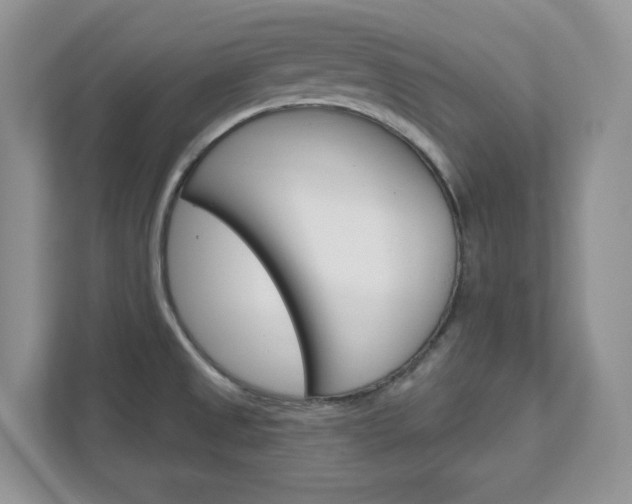 X0000111891525200907231437
