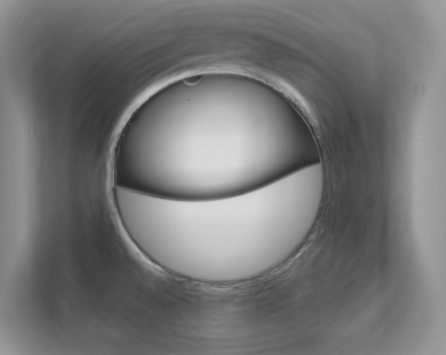X0000111891528200907231437