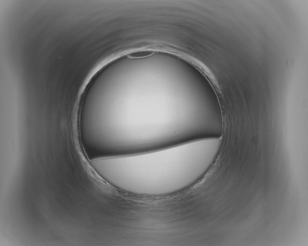 X0000111891530200907231437