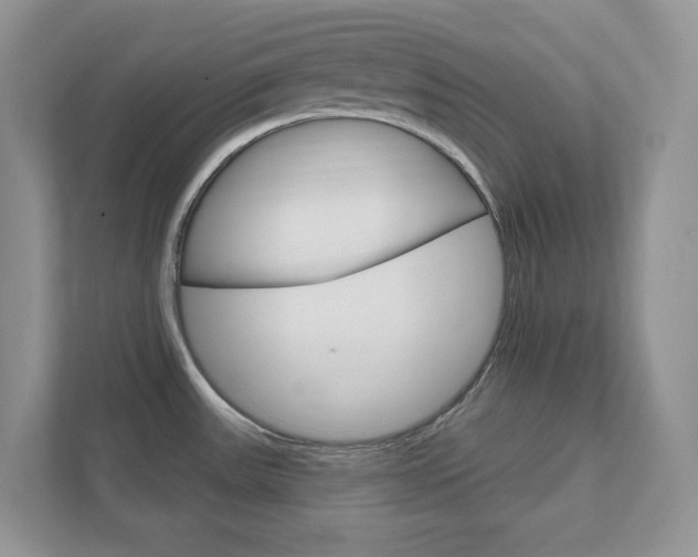 X0000111891531200907231437