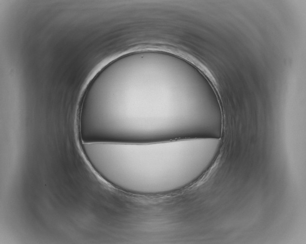 X0000111891533200907231437