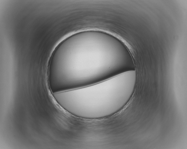 X0000111891534200907231437