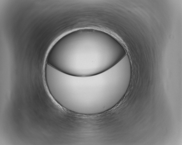 X0000111891536200907231437