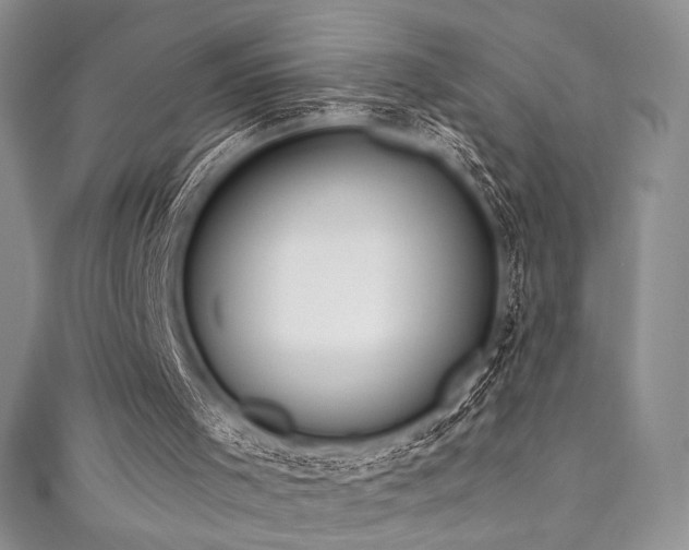 X0000111890001200907231606