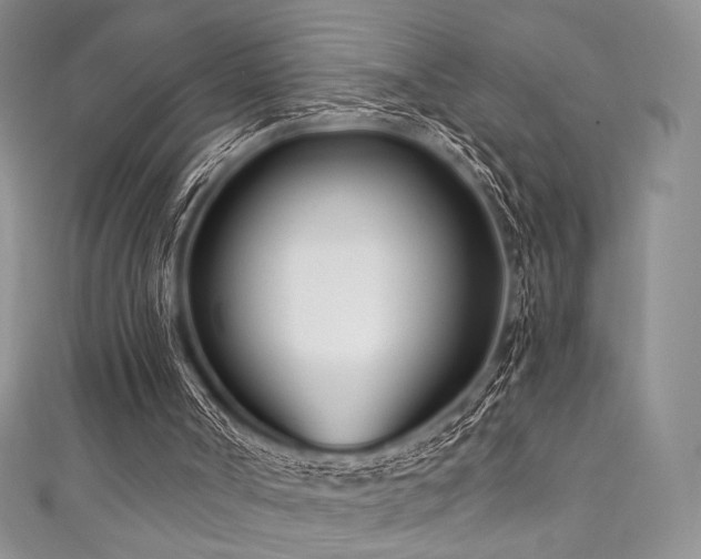 X0000111890002200907231606