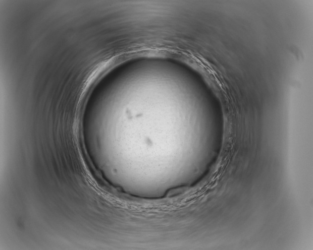 X0000111890003200907231606