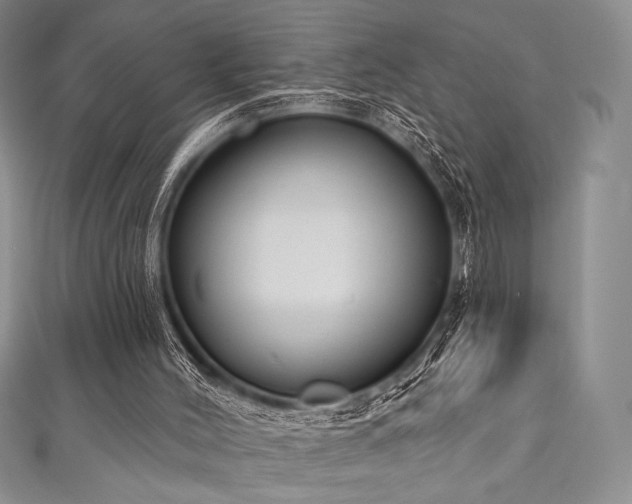 X0000111890004200907231606