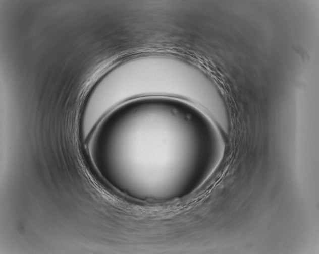 X0000111890005200907231606