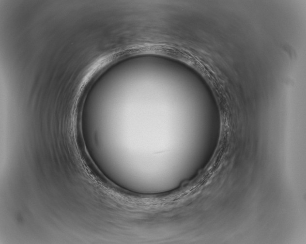 X0000111890006200907231606