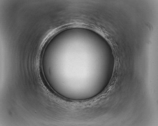 X0000111890007200907231606