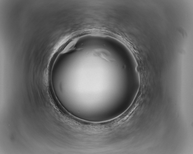 X0000111890008200907231606