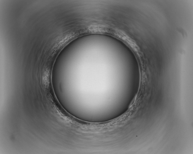 X0000111890009200907231606