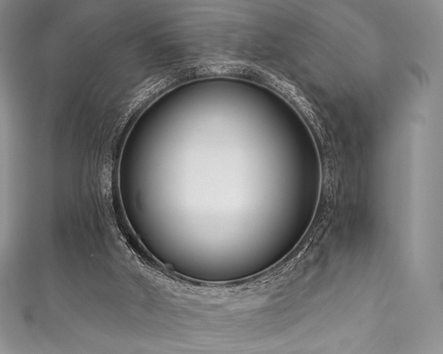 X0000111890010200907231606