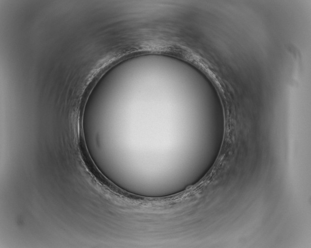 X0000111890011200907231606