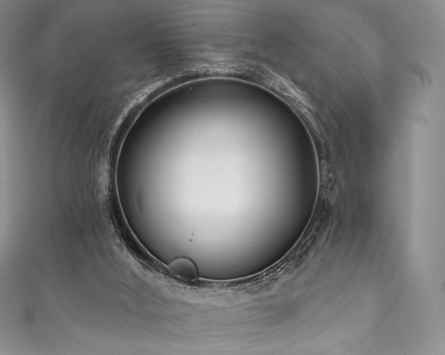 X0000111890012200907231606