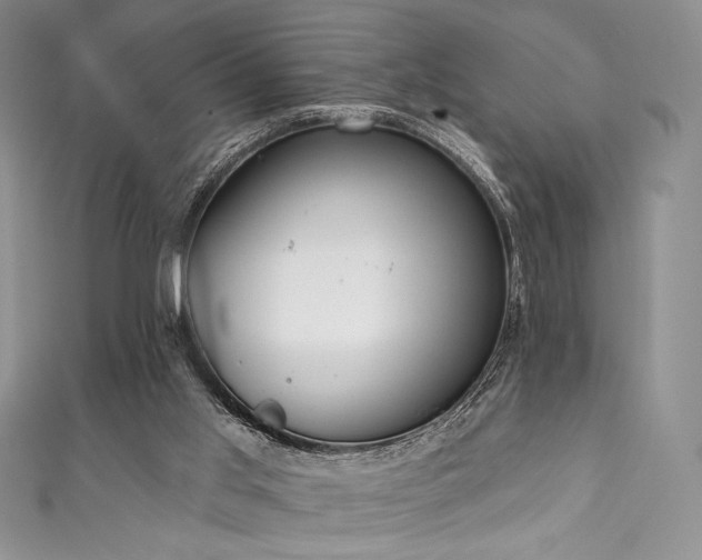 X0000111890013200907231606