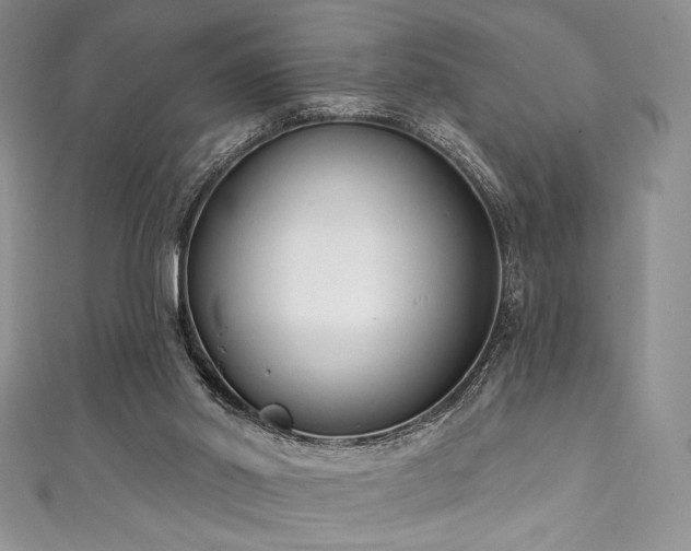 X0000111890014200907231606