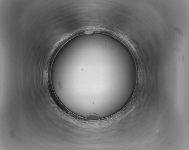 X0000111890015200907231606