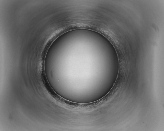 X0000111890016200907231606