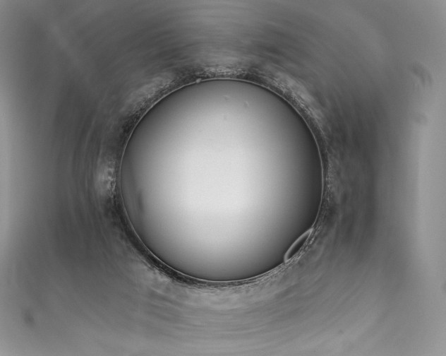 X0000111890017200907231606