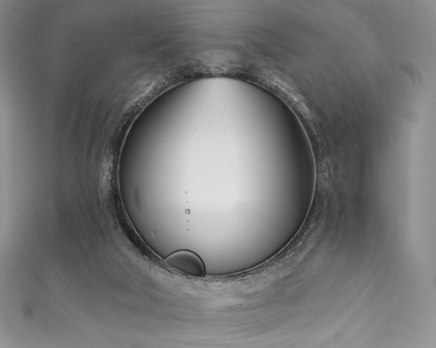 X0000111890018200907231606