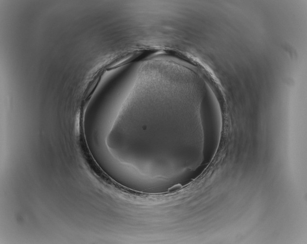 X0000111890019200907231606