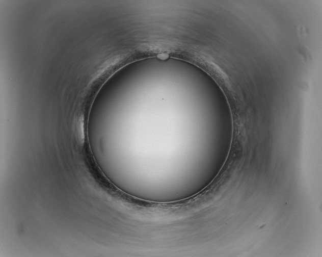 X0000111890020200907231606