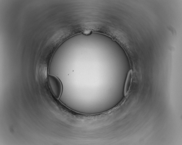 X0000111890021200907231606