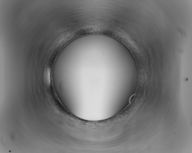 X0000111890022200907231606