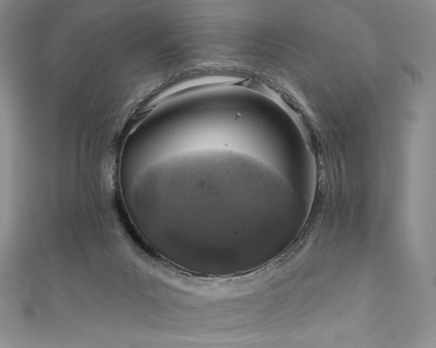 X0000111890023200907231606