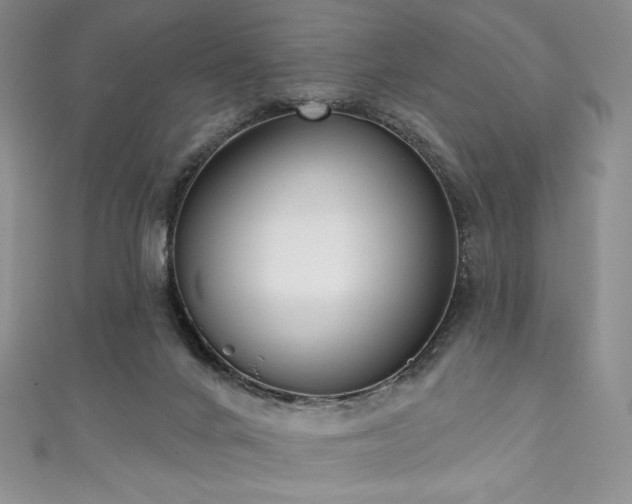 X0000111890024200907231606