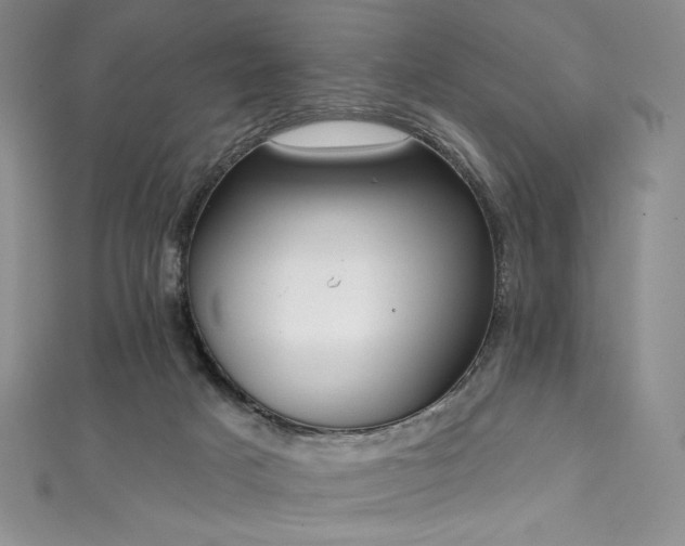 X0000111890025200907231606