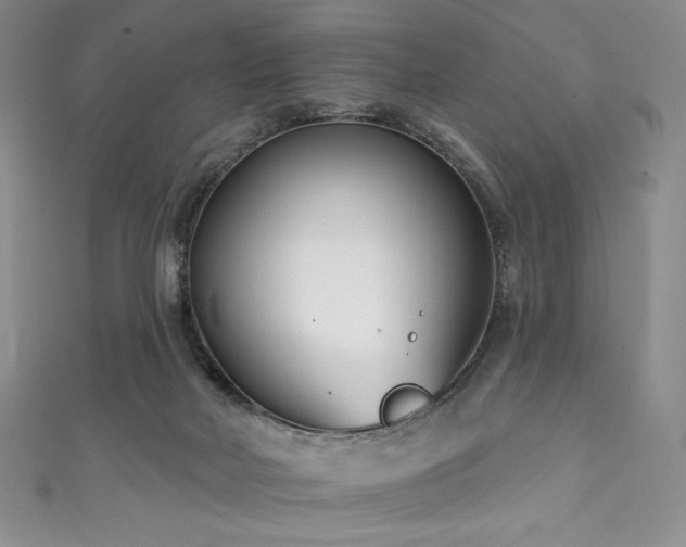 X0000111890026200907231606