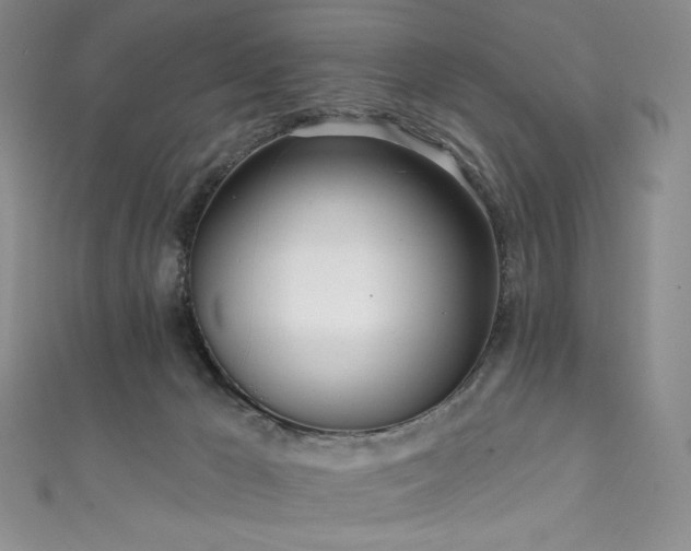 X0000111890029200907231606