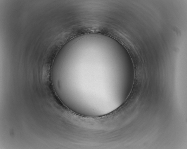 X0000111890030200907231606