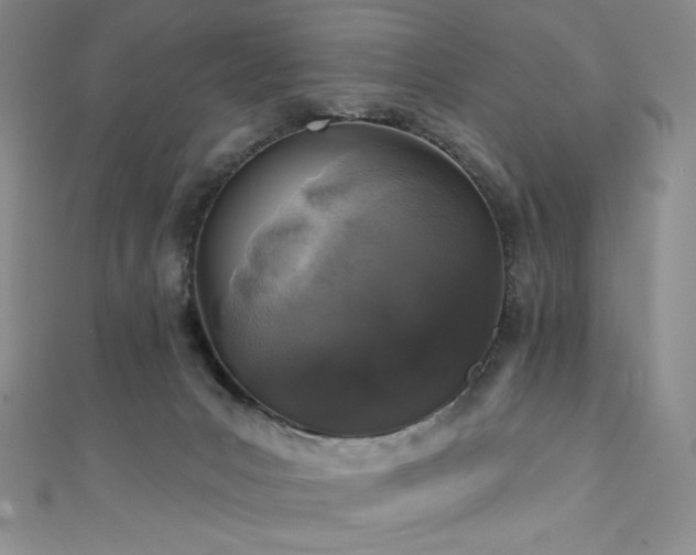 X0000111890031200907231606