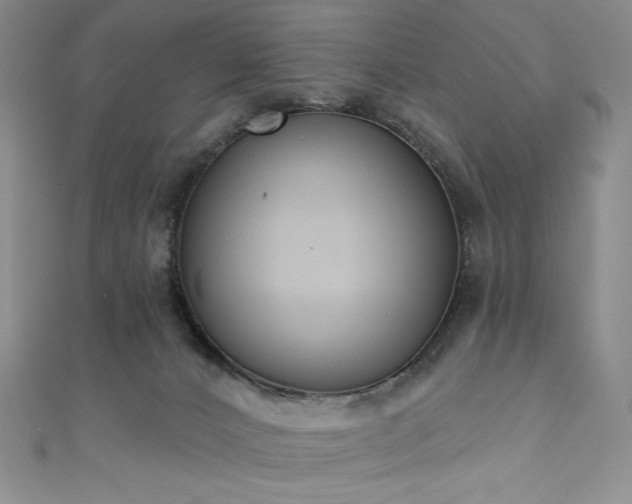 X0000111890032200907231606