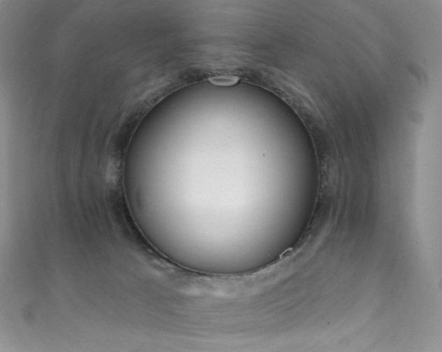 X0000111890033200907231606