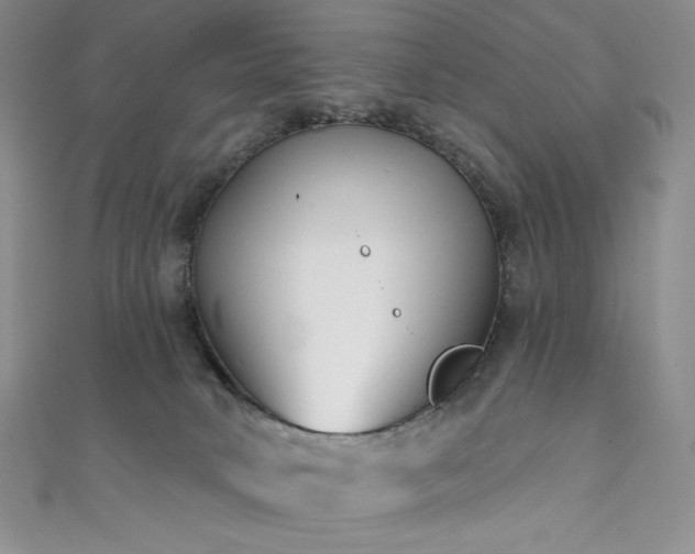 X0000111890034200907231606