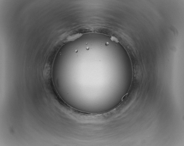 X0000111890036200907231606