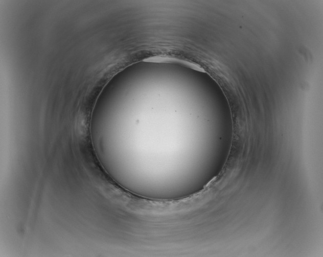 X0000111890037200907231606