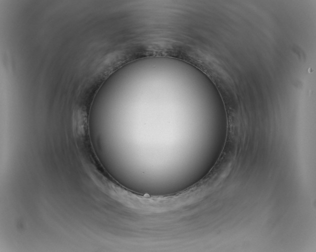 X0000111890038200907231606