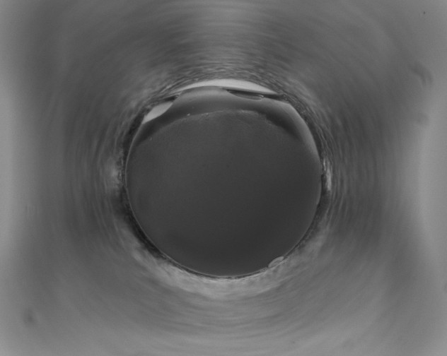 X0000111890039200907231606