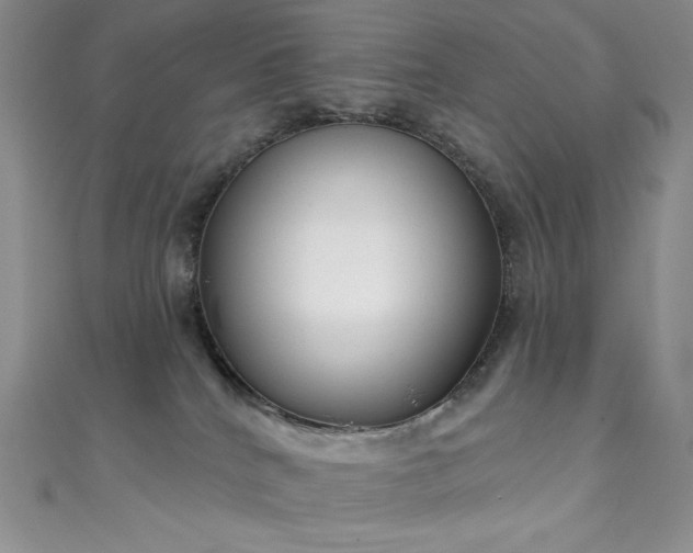 X0000111890040200907231606