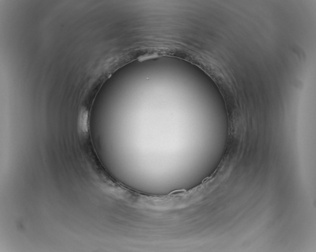 X0000111890041200907231606