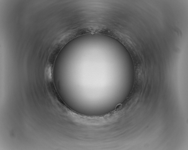 X0000111890042200907231606